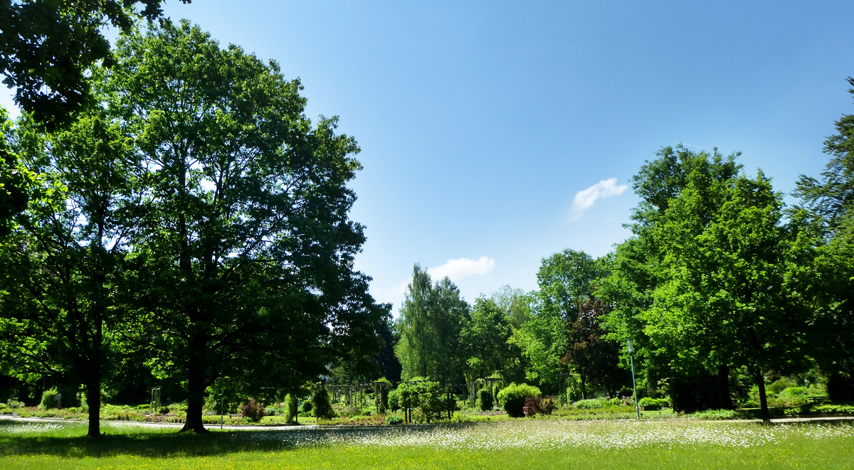 Der parkähnliche Kurpark von Bad Wörishofen mit Blumenwiesen und hohen Bäumen
