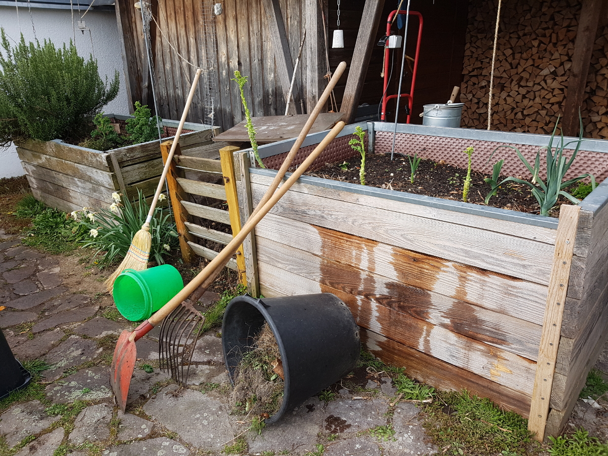 Grünkohl gerupft Grünkohl gerupft