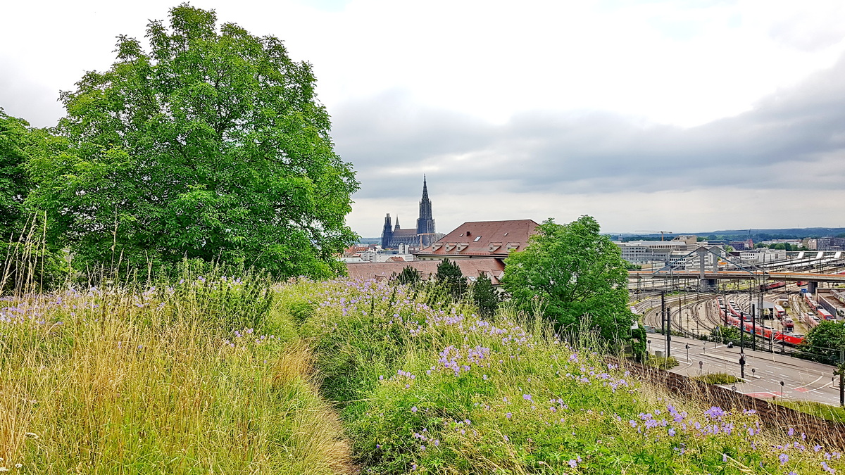 Schmetterlings-Pfad auf die Wilhelmsfeste in Ulm