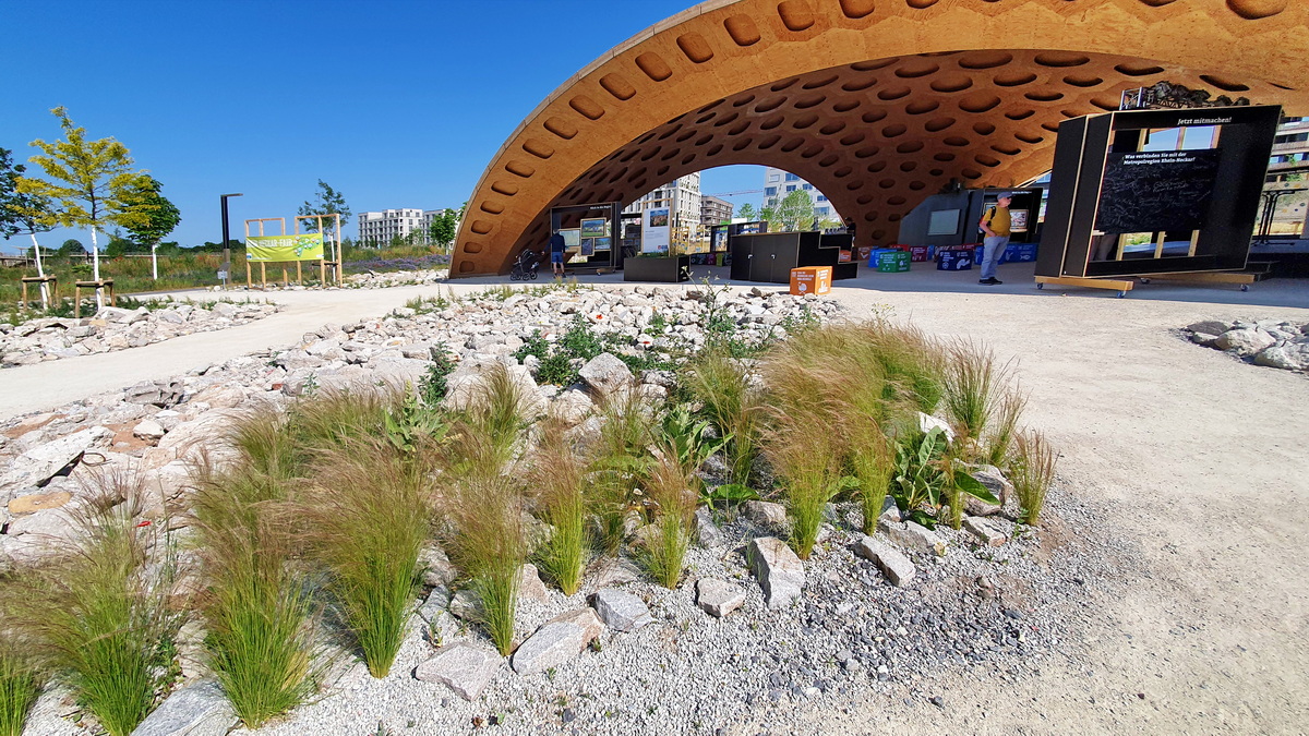  Bionische Holzpavillon auf der Buga 2023 mit Federgras im Vordergrund