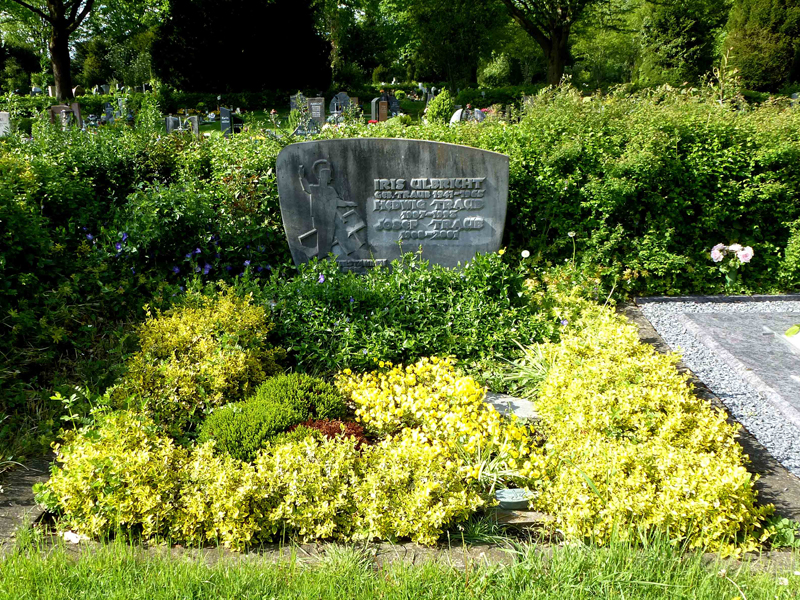 Immergrüne Zwerggehölze zur Grabgestaltung Immergrüne Zwerggehölze zur Grabgestaltung